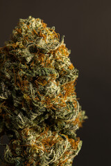 Weed, pot, marijuana, hemp, cannabis
