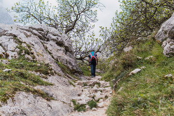 Fototapeta premium hiker in the mountains
