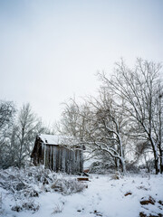 A snow covered Barn