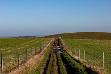 Fototapeta na wymiar Puddles on a pathway through the Sussex countryside, on a sunny winters day