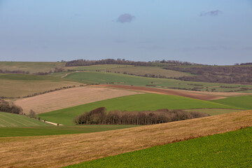 Fototapeta na wymiar Rolling fields in the South Downs on a sunny winters day