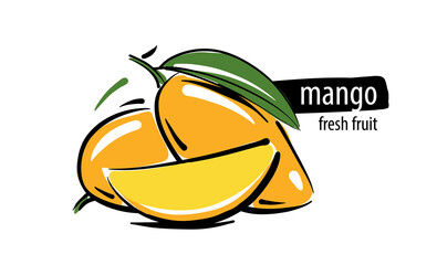 Drawn vector mango on a white background