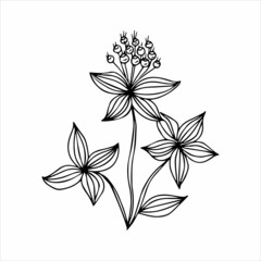 Hand drawn flower single doodle element for coloring, black and white vector image