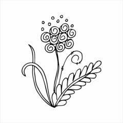 Hand drawn flower single doodle element for coloring, black and white vector image