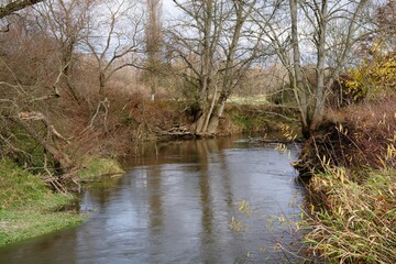Meanders of the river Oder near Studenka. Northeast Moravia. Europe.