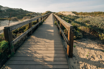 Rustic wooden beach boardwalk through sand dunes leading to the beach, California