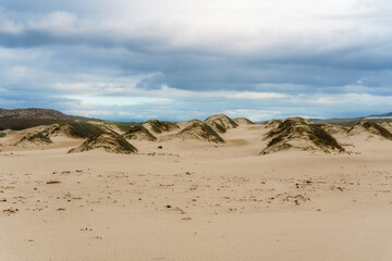 Fototapeta na wymiar Sand dunes on the beach and cloudy sky, landscape background