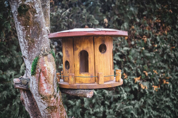 bird house on a tree