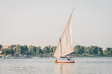 views of felucca boat, which is the traditional boat in nile river - obrazy, fototapety, plakaty