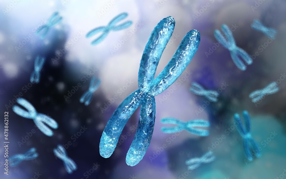 Wall mural chromosome, x chromosome, human gene, heredity, chromosome on a blurred background, 3d rendering