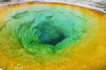 Morning Glory Pool at Yellowstone National Park