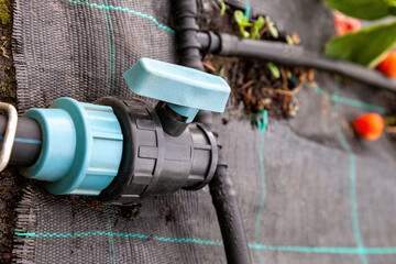 Ball valve on drip irrigation pipe