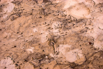 Sand and stone texture