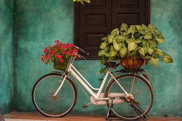 White vintage bike with basket full of flowers next to an old building in Danang, Vietnam, close up