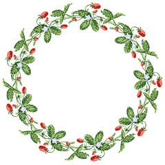Fototapeta premium Decorative wreath from drawn sprigs wild ripe strawberries