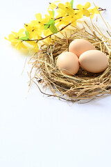 Background with Easter decoration and place for text.