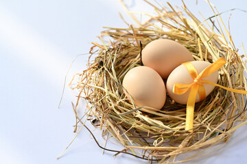 Easter decoration with natural eggs in a nest. Place for text.