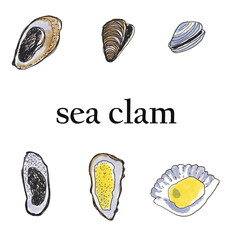 illustrations with markers seafood for the menu oysters mussels shells sashes