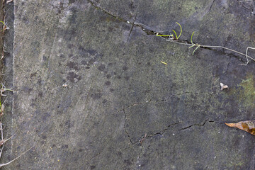 ough nature textures great for backgrounds	