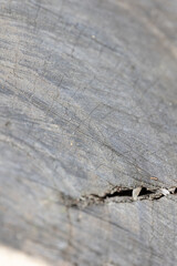 ough nature textures great for backgrounds	
