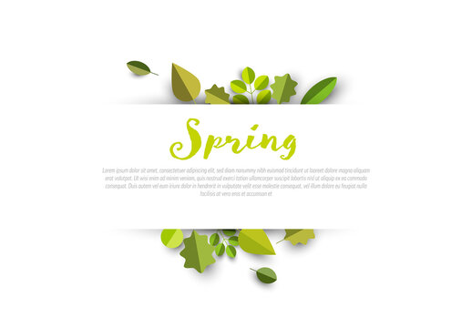 Spring Leafs Sale Post Banner Layout with Stripe