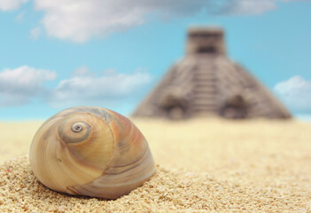 Sea Shell with Pyramid, Shallow Depth of Field