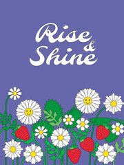 Vector poster with daisies and strawberries