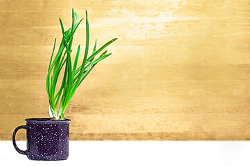 Green onion in a dark violet cup on  wooden and white background with empty space.