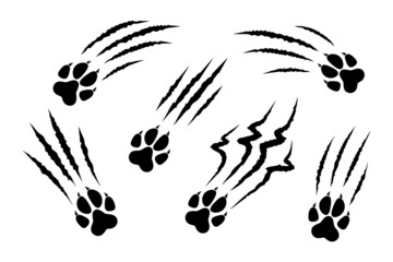 Set of animal paw print silhouette with claw marks, scratches, talons cuts cat, tiger, dog, lion, monster isolated on white background. Vector flat illustration. Design for animal print, banner - obrazy, fototapety, plakaty