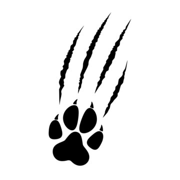 Animal paw print silhouette with claw marks, scratches, talons cuts cat, tiger, dog, lion, monster isolated on white background. Vector flat illustration. Design for animal print, banner, poster