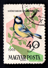A stamp printed by Hungary showing Blue tit, circa 1961