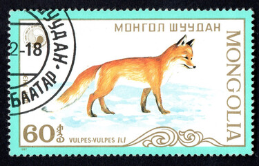 stamp printed in Mongolia shows Vulpes Red Fox circa 1987