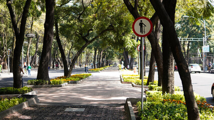 Bicycle sign in the park, Chapultepec Mexico City