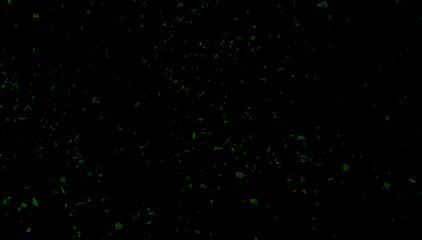 Green sparkled carnival confetti on black background