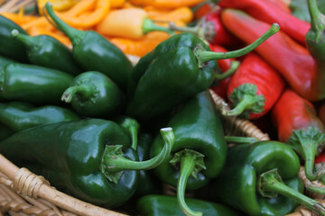 Poblano Peppers with Asian Red Peppers and Yellow Chili Peppers