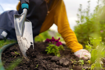 A closeup of hands of a young gardener with a seedling in a peat pot.