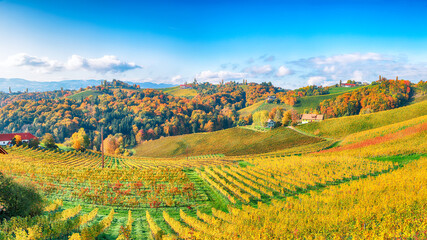 Fabulous vineyards landscape in South Styria near Gamlitz.