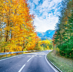 Obraz premium Gorgeous autumn scene near Schiederweiher in Hinterstoder.