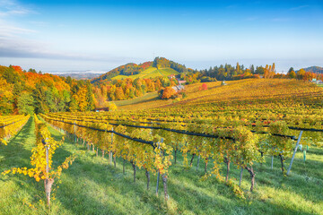 Breathtaking vineyards landscape in South Styria near Gamlitz.