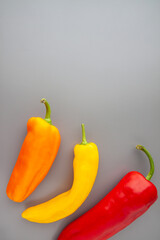 Three colourful oblong paprikas on the gray background. Bottom. Copy-space. Orange, yellow, red. Top vertical view