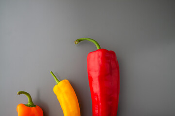 Three colourful oblong paprikas on the gray background Left bottom. Copy space