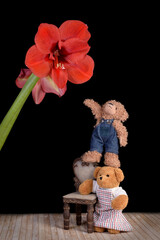 Teddy bears with red flower