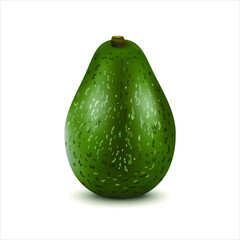 Whole ripe avocado  isolated on white background. Vegetarian fruits. Vector illustration.