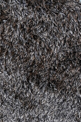 top view of carpet texture close-up woolen fibers in Brazil