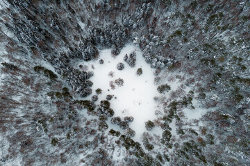 A view from a great height to a snow-covered meadow in a winter forest
