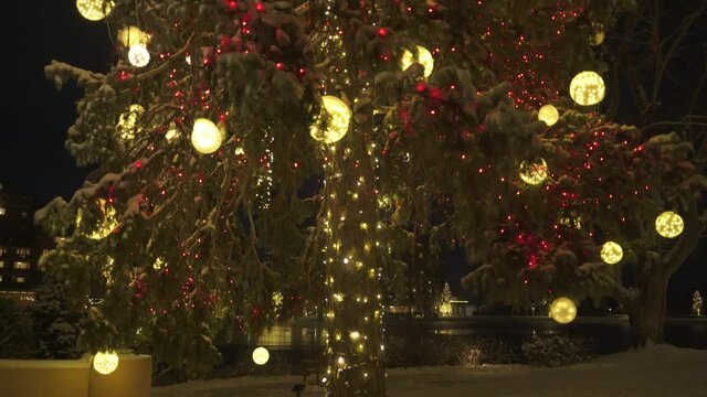 Colorado Springs, USA - Christmas Lights at The Broadmoor Hotel
