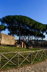 Fototapeta na wymiar Rustic scenery in the very center of Rome city: blue sky, pine trees, green grass, wooden fence, paved road and a church far away