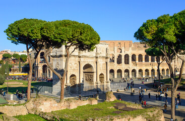 Blue sky, green grass, stone pines, Triumphal arch of Constantine and Colosseum in Rome, Italy