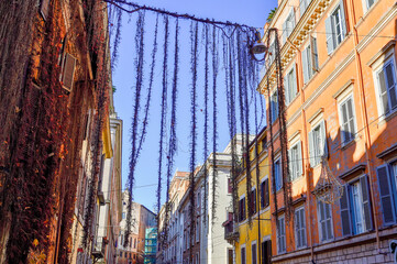 Fototapeta premium Roman windows with wooden shutters, and walls covered with vine, blue sky, hanging rapevine in a sunny winter day in Rome Italy