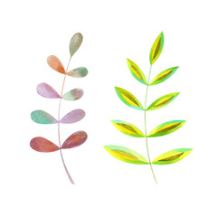 Watercolor set with fresh tropical leaves